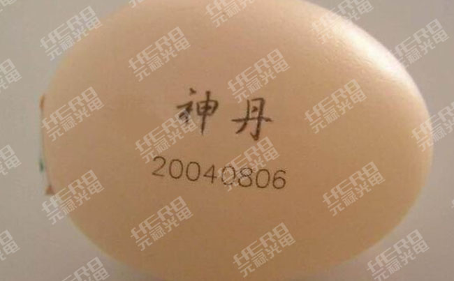 1545188200147207.jpg 未標(biāo)題-2 拷貝3.jpg