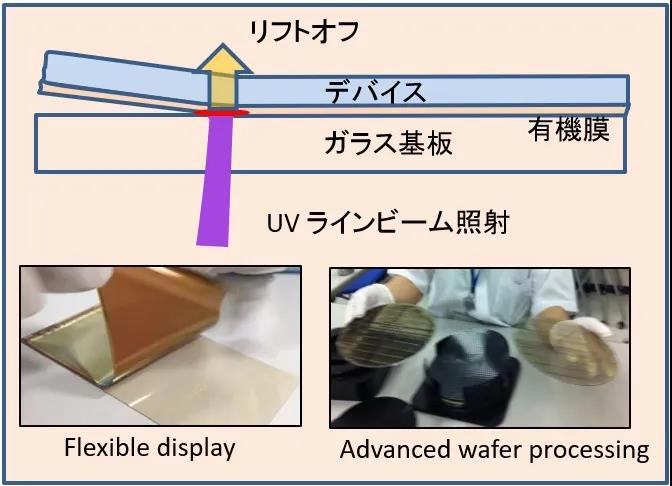 1591084415749465.jpg 1.jpg