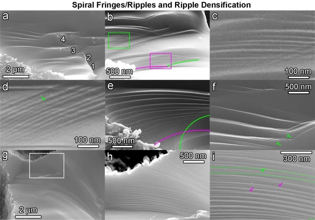 1603868390316212.jpeg 66.jpeg